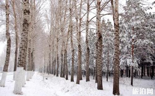 2018年哈尔滨国庆下雪吗 哈尔滨什么时候开始下雪 2018年哈尔滨国庆下雪吗 哈尔滨什么时候开始下雪