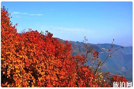 北京看红叶香山公园游玩攻略
