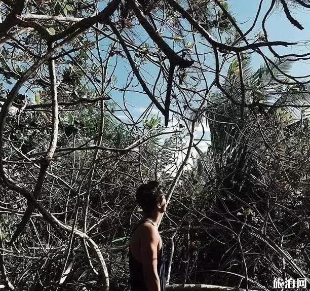 旅行的男生如何拍照才好看 旅行的男生如何拍照才好看