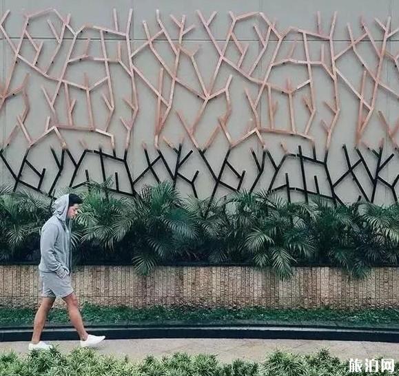 旅行的男生如何拍照才好看 旅行的男生如何拍照才好看